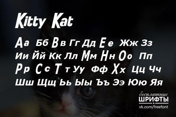 Kitty kats net. Kitty_kat записи. kitty kat forum.